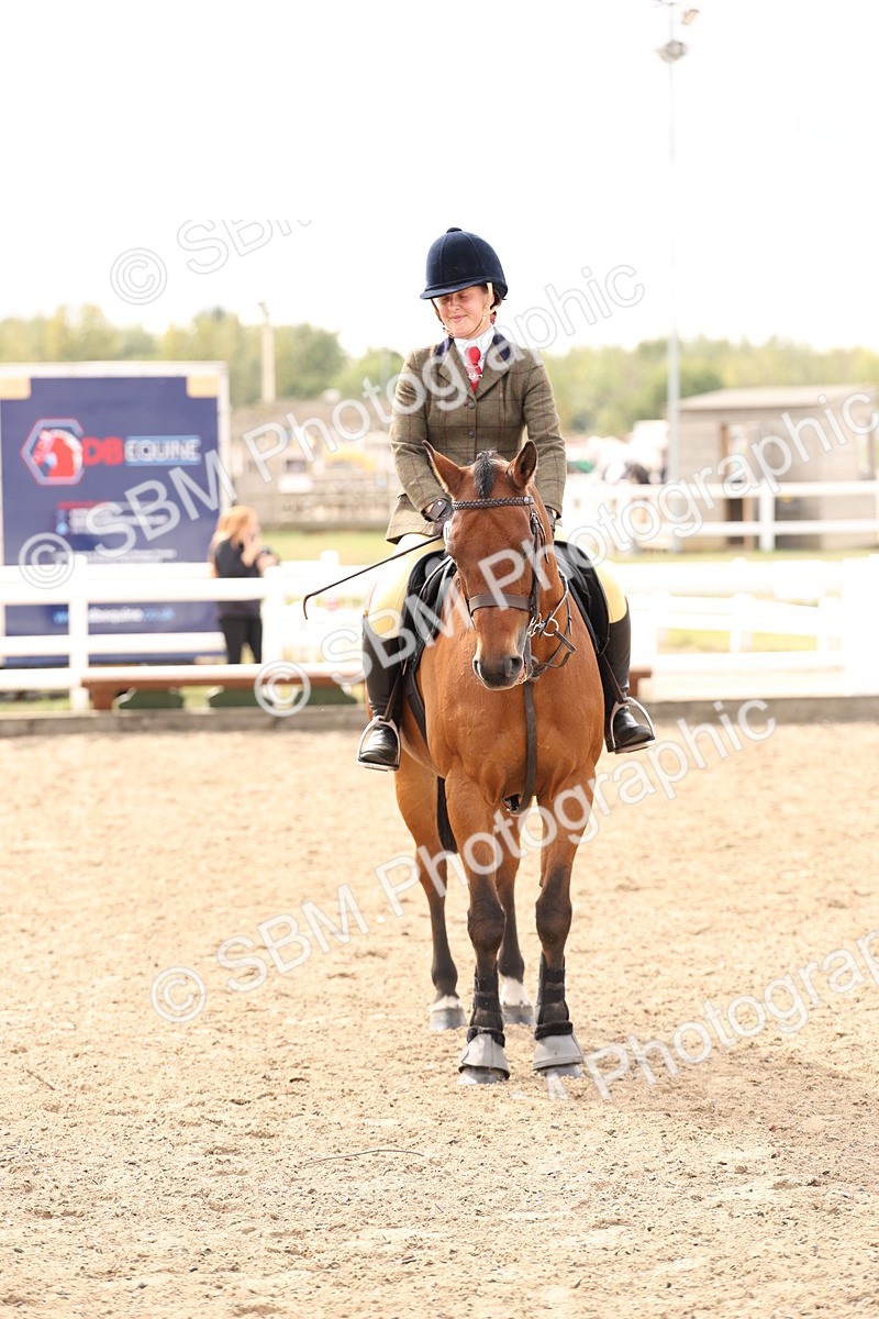 SBM_05100 - Class 56a -  Style & Performance - 50cm (15-19)