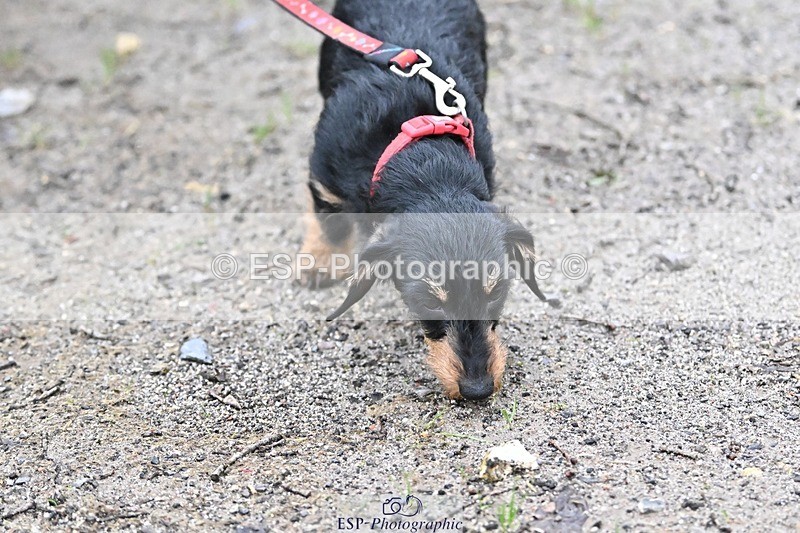 241206-144428-01150 - Naomi