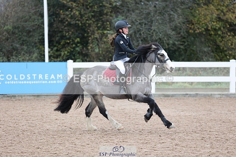 241116X-100609-00733 - Cls 08 Pony Winter Nov Champs