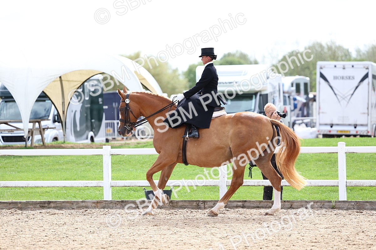SBM_03332 - Class 23 - SSA Classical (any age)