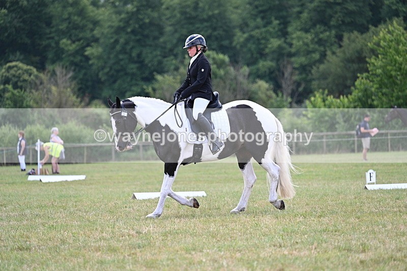 WJ7_5330 - Time 11:22 to 11:51