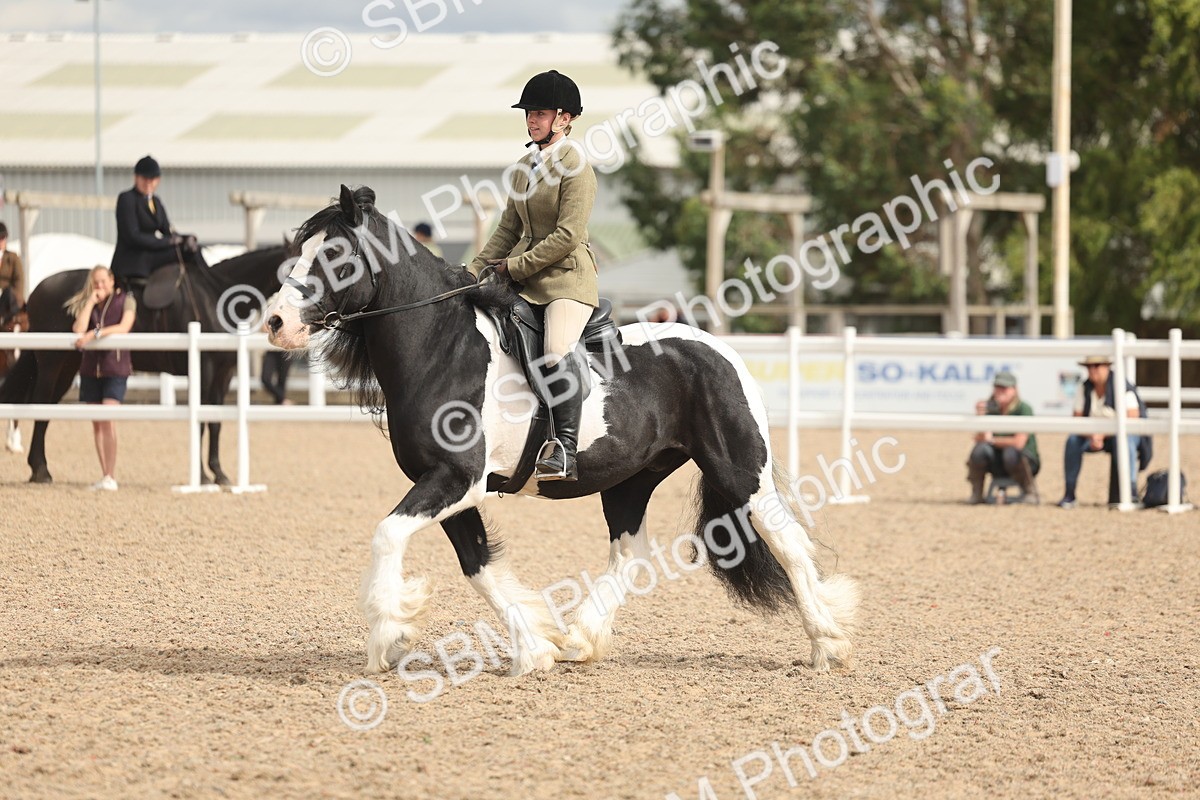 SBM_18015 - Class 314 - Family Horse Pony