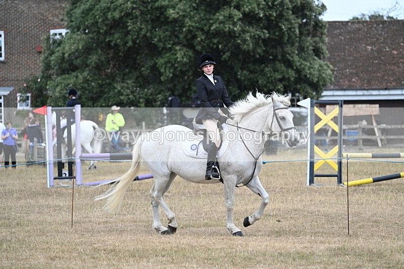WJ7_0957 - Class 7 Riding Club Show Horse