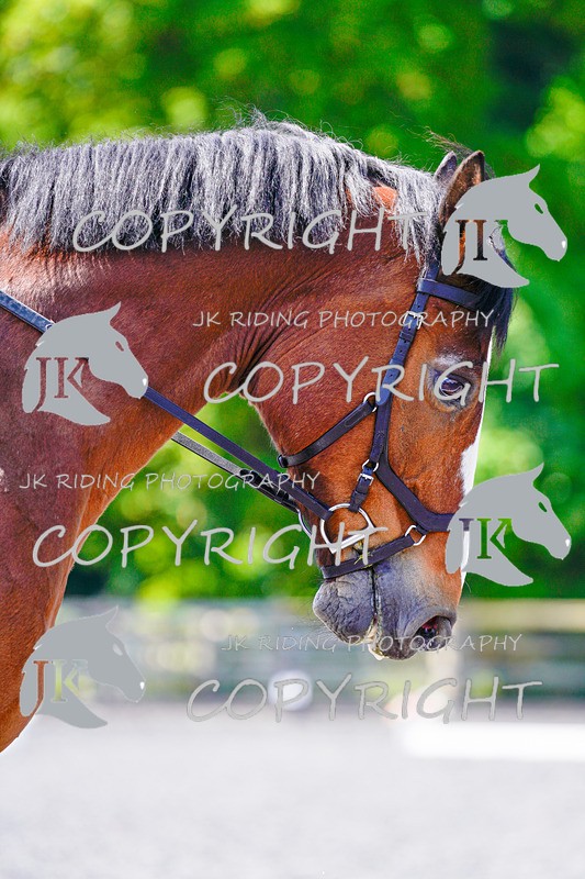 _DSC3786 - NOVICE 1