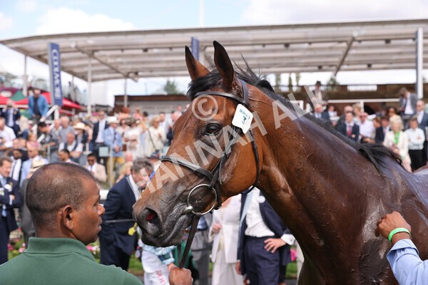 yr19082022r2-53 - Race 2 2.25pm Weatherbys Hamilton Lonsdale Cup (British Champions Series Race)