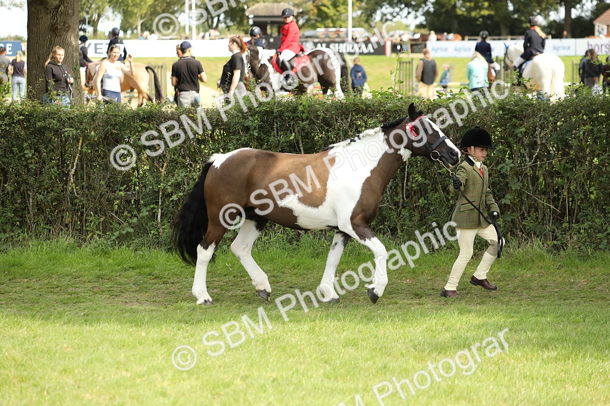 SBM_67729 - S39 - Junior Handler 8  Years & Under