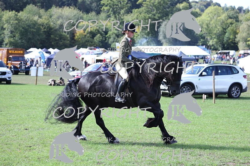 APP_3733 - Class 12 M&M ridden