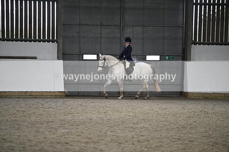 WJ7_3619 - Class 16 Ridden Coloured/ Odd Coloured