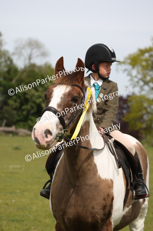 20260426-4433 - Class 34 - Best Riding Horse Over 14.2hh