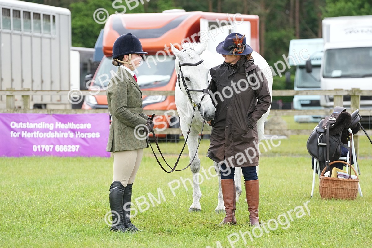 SBM_12708 - Class 97-98 - LIHS BSHA Rising Star Working Show Horse Hunter