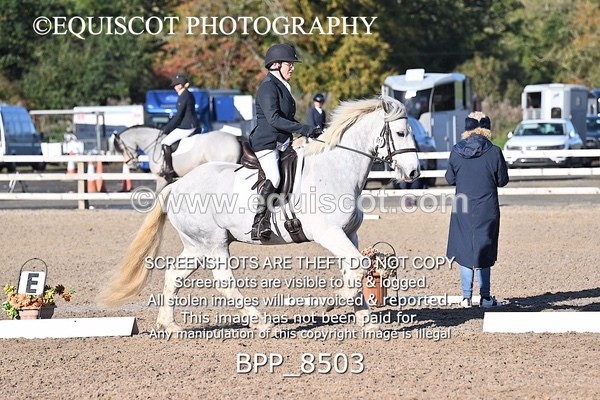 BPP_8503 - LONG ARENA