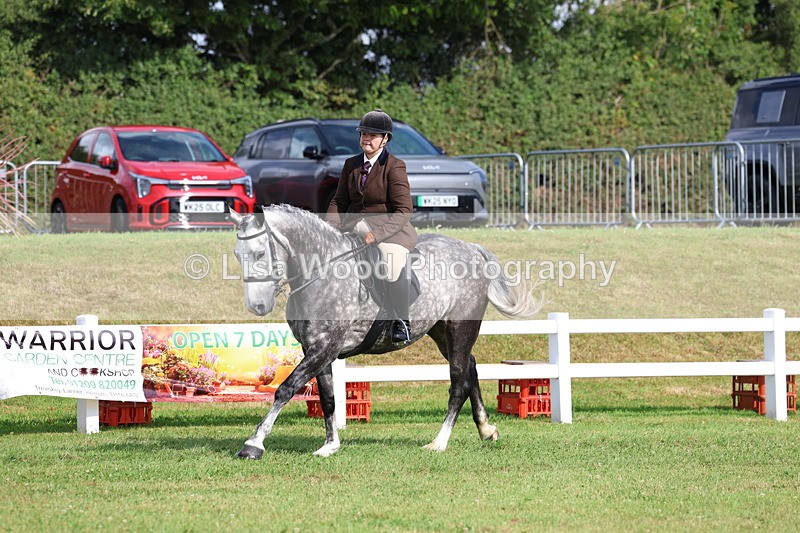 3E7A8842 - Class 3: Rising Star S/L Hunter