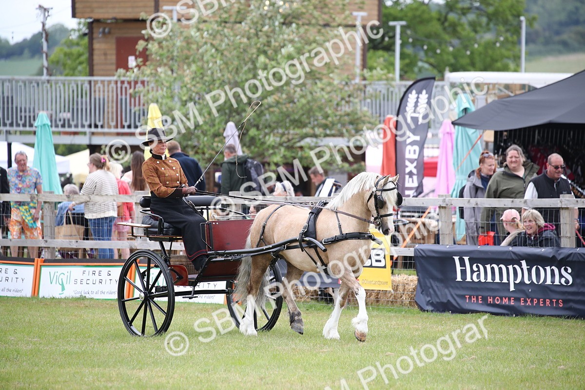 SBM_05610 - Class 12-15 - HOYS Private Driving