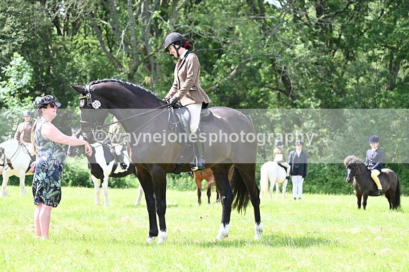 WJ7_1469 - Class 11 Condition & Turnout