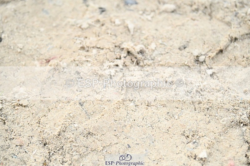 251004A-173955-02546 - Classes 12 & 13 90cm