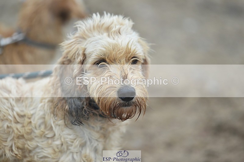 230902A-101438-00381 - Cls 2A Pony Small 70cm