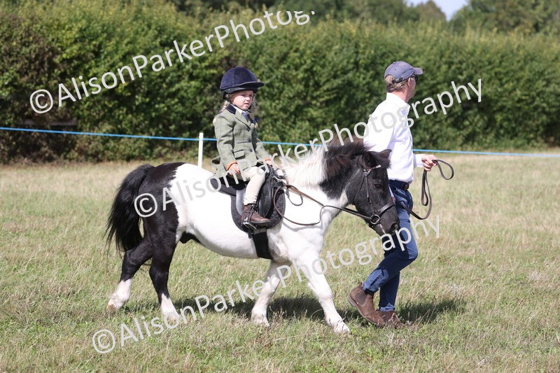 20260906-2755 - Class 25 - Absolute Beginners Pony