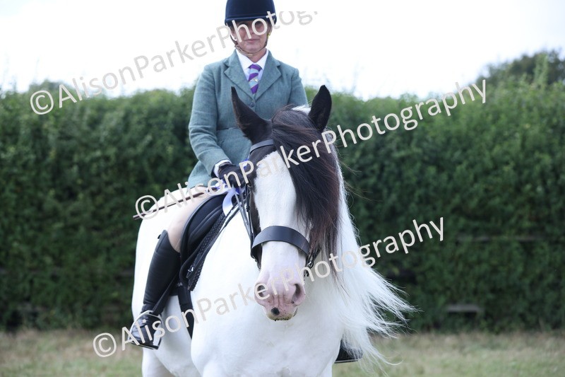 20250831-4354 - Class 20 - Ridden Coloured