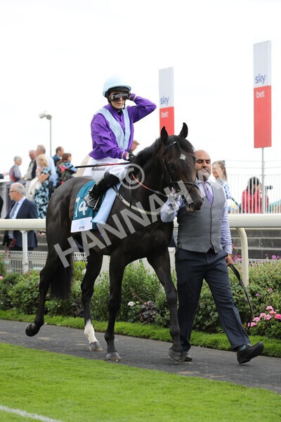 yr18082022r6-17 - Race 6 4.45 pm OR8wellness ebfstallions Nursery Handicap