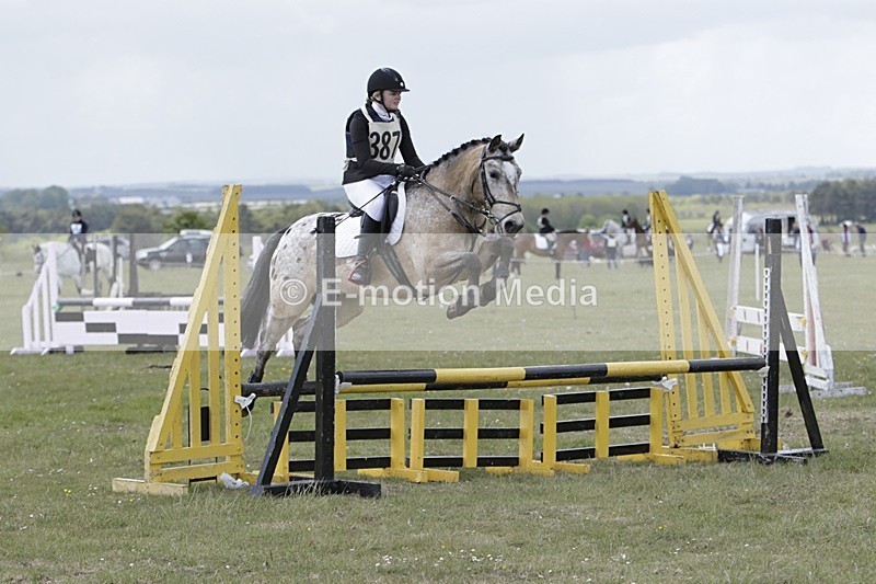 BVHT 140517 N-374 - Class 2 SJ Novice 14/05/17