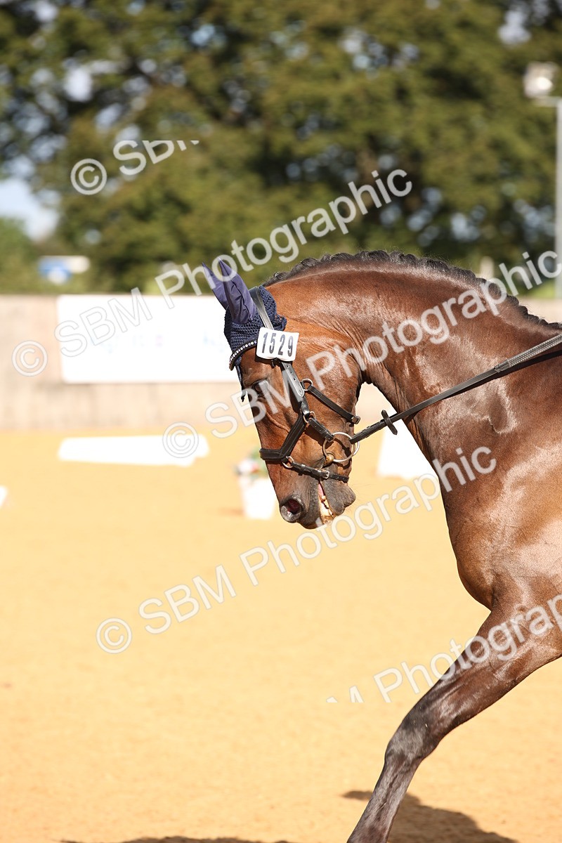 SBM_04170 - D2 Small Tour Championship Intro C