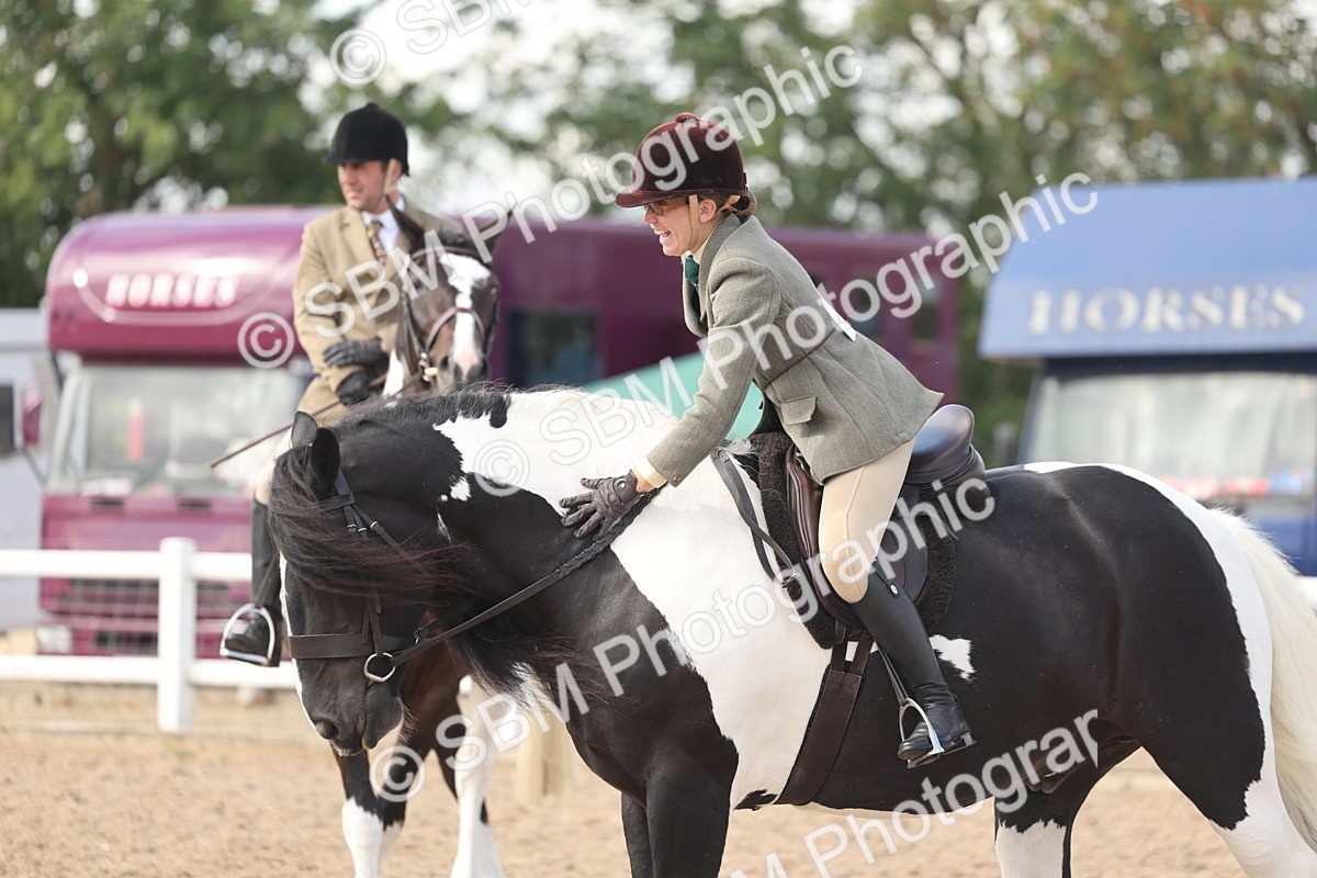 SBM_14823 - Class 308 - Ridden Coloured Horse