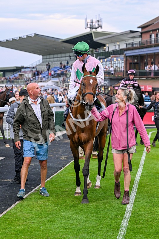 160626-Race 5-Anificas Beauty-5275 - Race 5 20.30pm Churchill Tyres Handicap