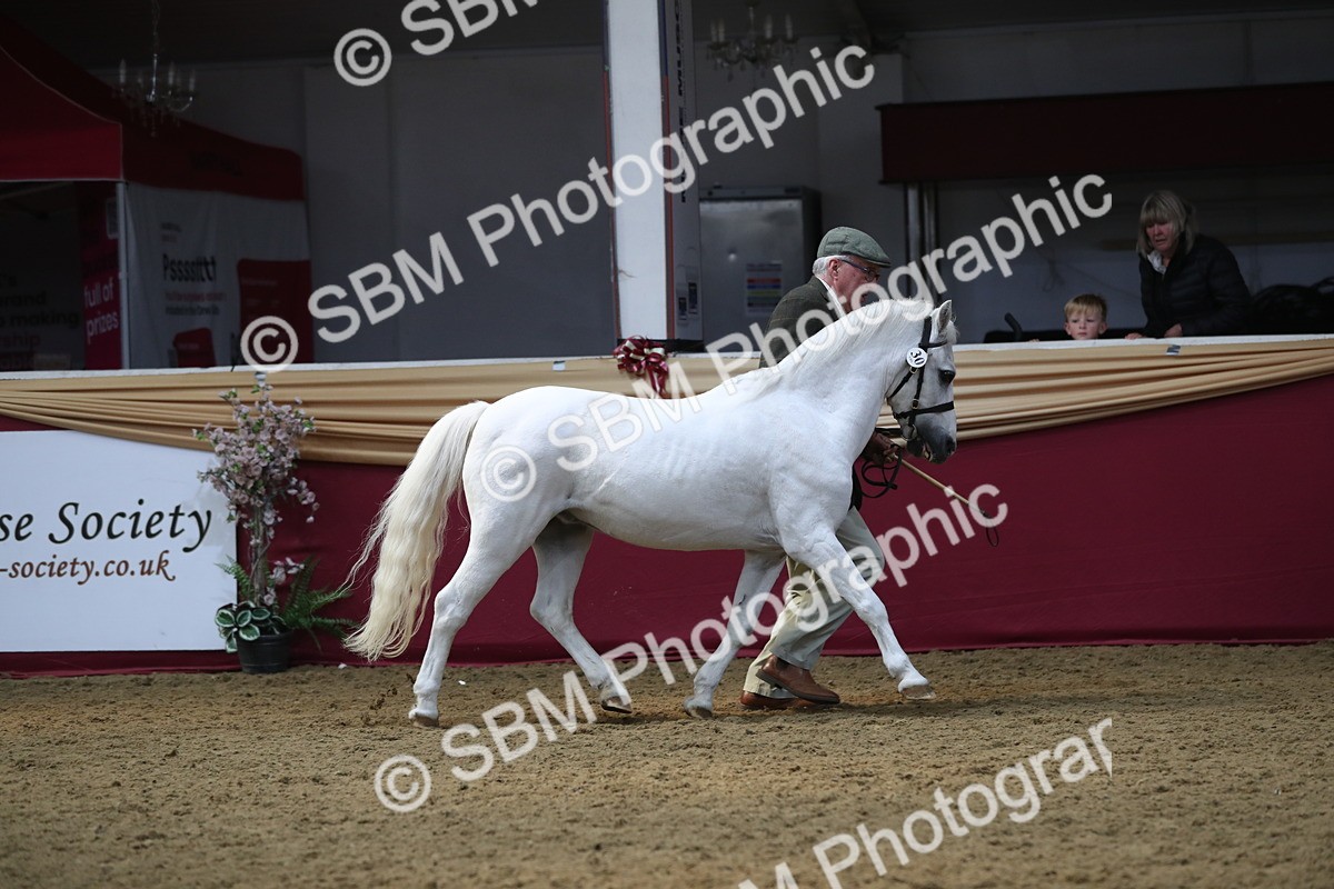 SBM_15193 - Class 501 M&M IH Supreme Final