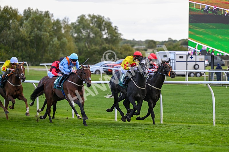 171026-Race 5-Brighton Boy-5965 - Race 5 3.25pm William Hill Epic Boosts Handicap (Div I)