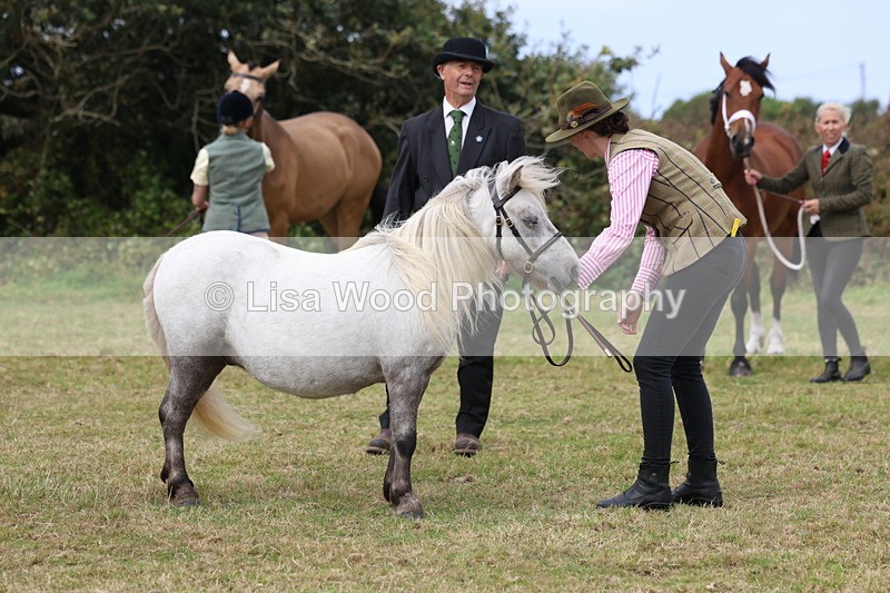 3E7A4454 - Class 15: Three Year Olds