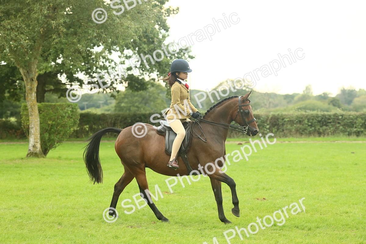 SBM_73947 - S 61 - Show Pony & Show Hunter Pony Ridden