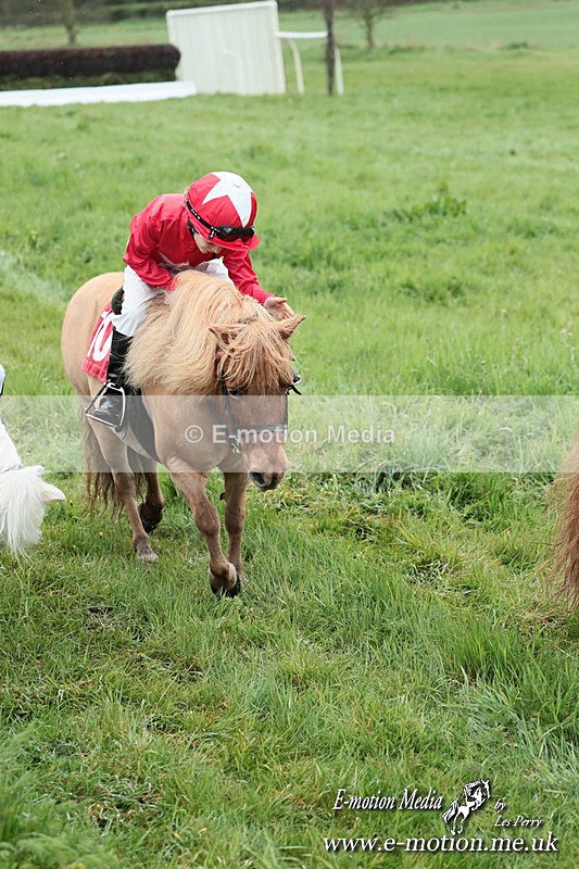 SHETPR 210425 252 - Shetland Ponies Paxford Races 21/04/25