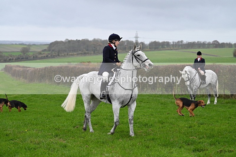 WJ7_8850 - Meet Staff & Hounds