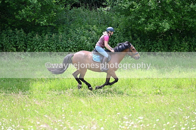 WJ7_8855 - Group 4 11am