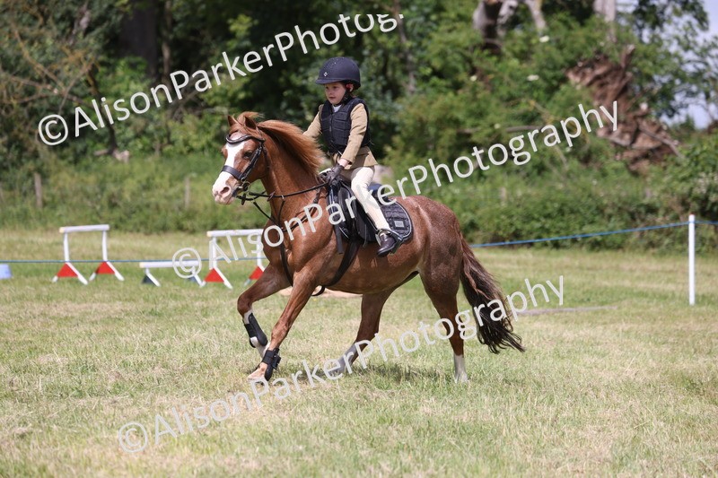 20260614-2003 - Class 21 - Novice Working Hunter Pony