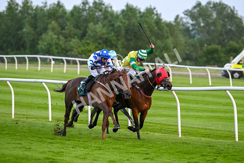 310524-Race 6-Mister Sox-9043 - Race 6