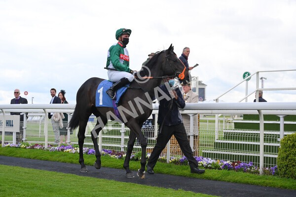 yr22052021r5-4 - Race 5 4.20pm William Hill EBF Novice Stakes (Plus 10 Race)