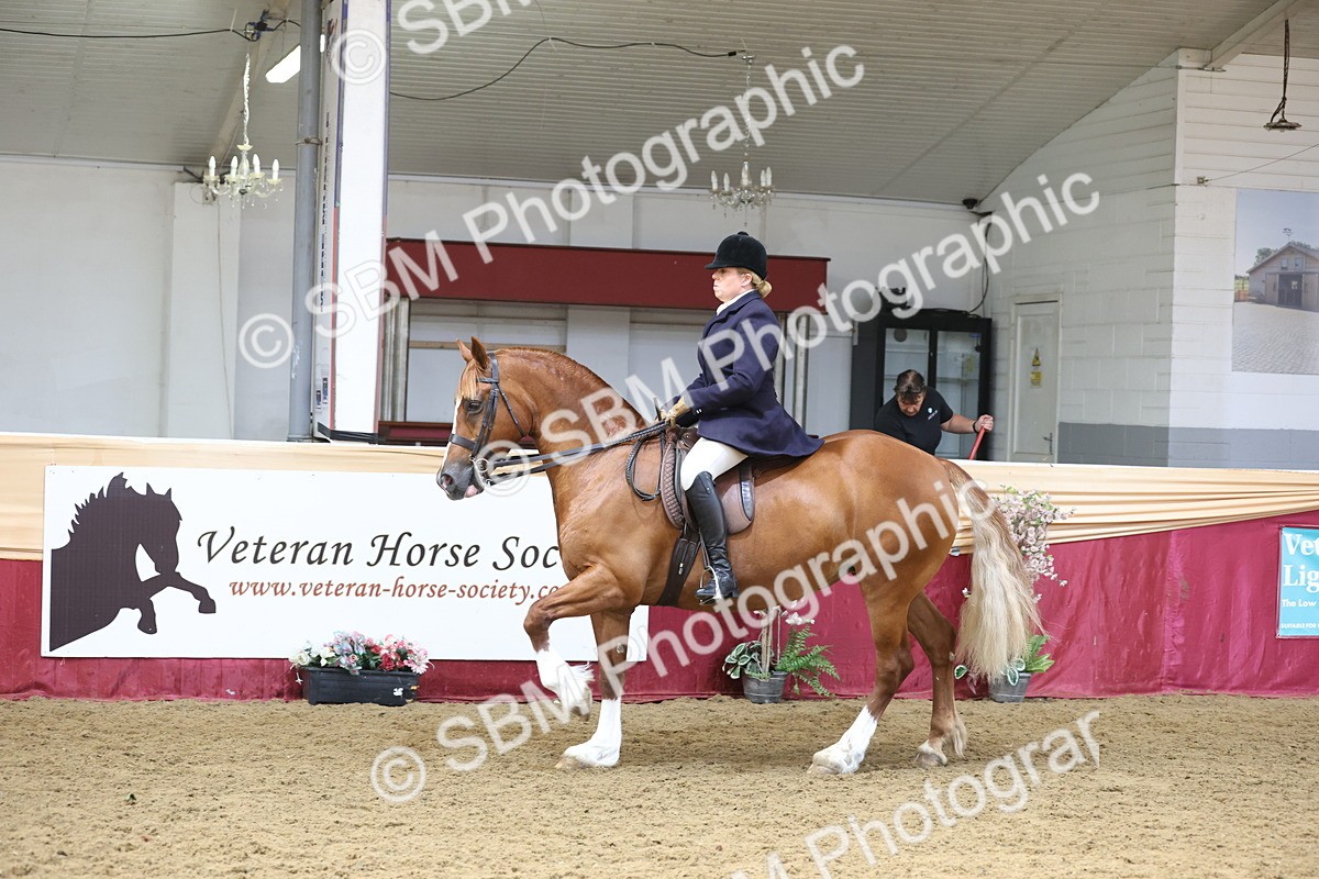 SBM_23823 - class 906 - Supreme Final - Ridden Pre Vet