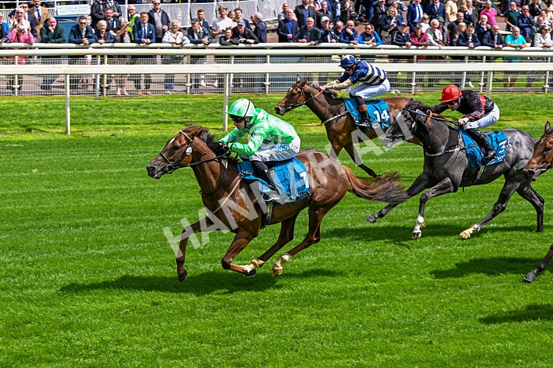 120626-Race 2-Everatease-6846 - Race 2 14.25pm Constant Security Keeping York Racegoers Safe Rous Selling Stakes