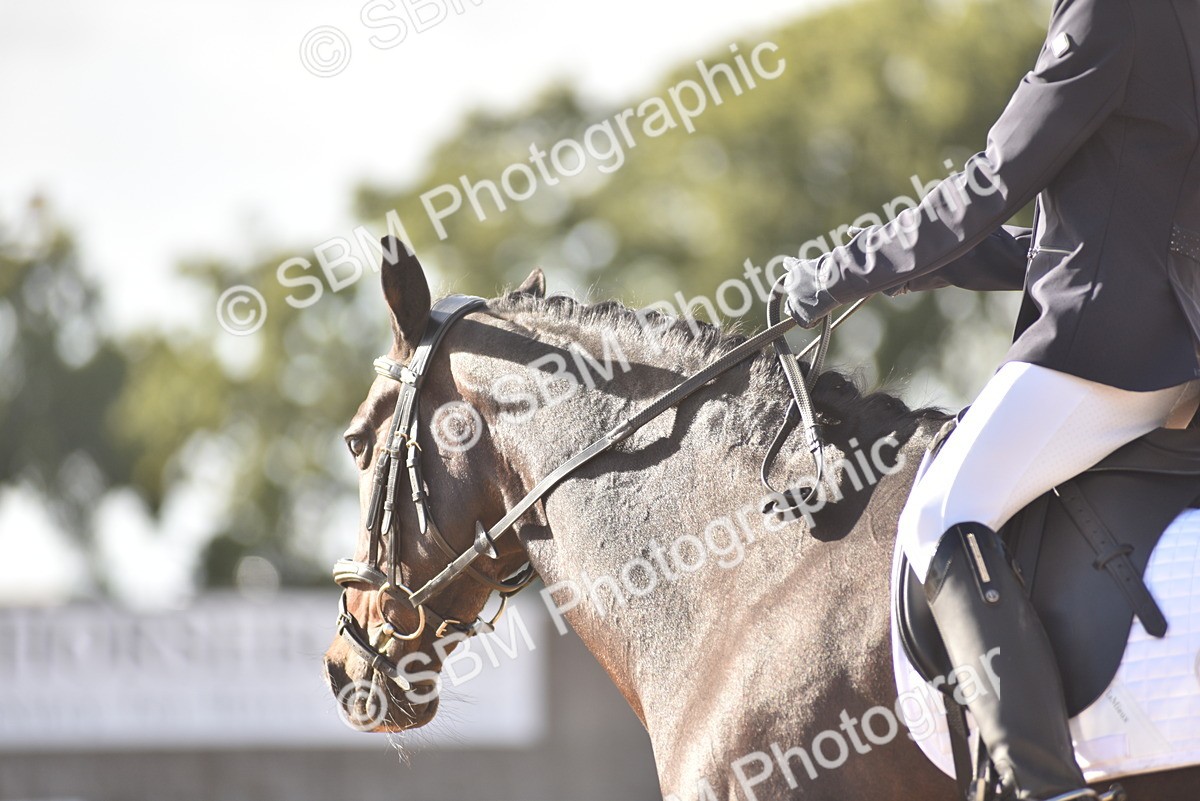SBM_53231 - D24 - Junior Championship Prelim 3