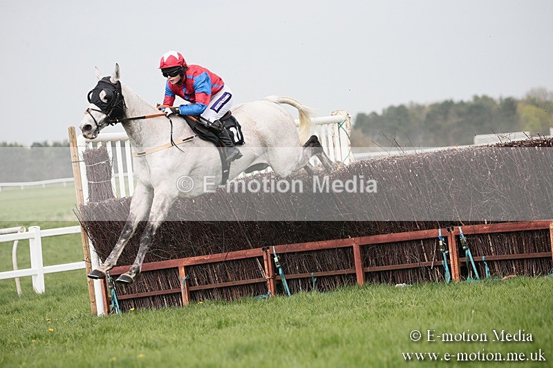 PtP 210418 279 - South & West Wilts Point-to-Point Larkhill 21/04/18