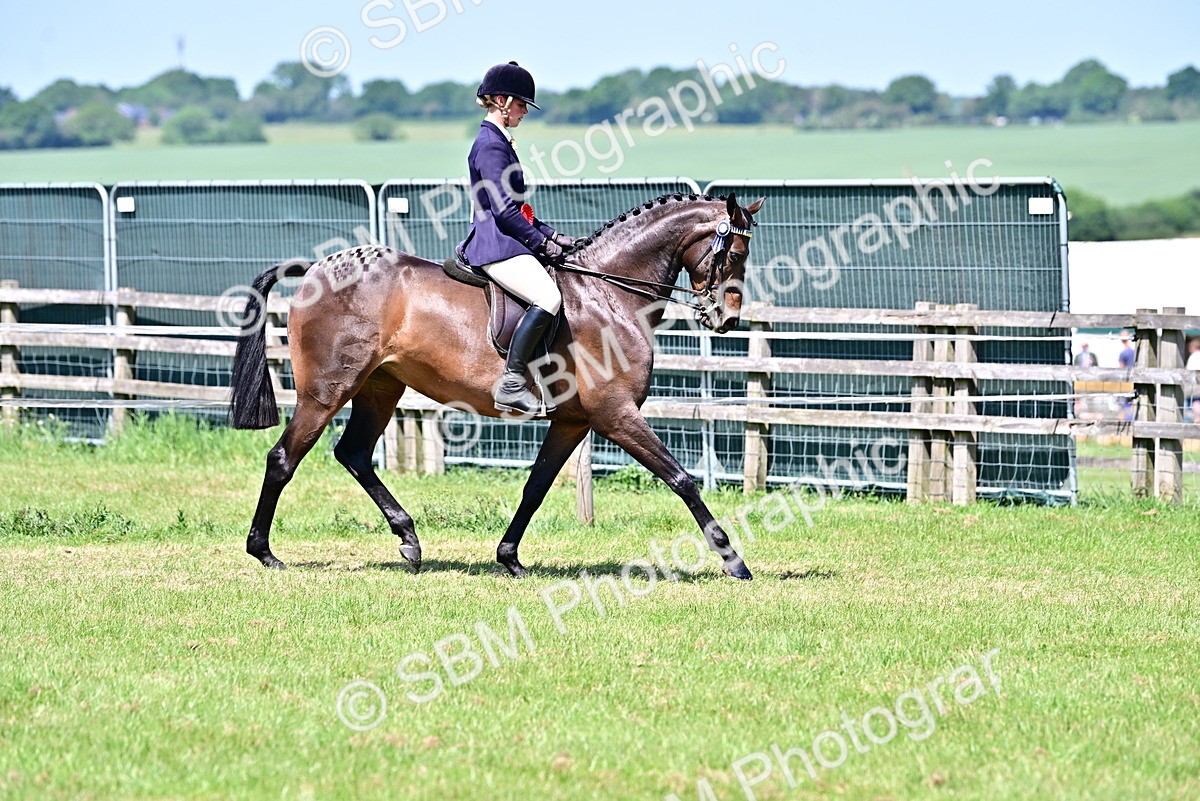 SBM_17534 - Class 95-97 - BSPS LHS Performance Ponies