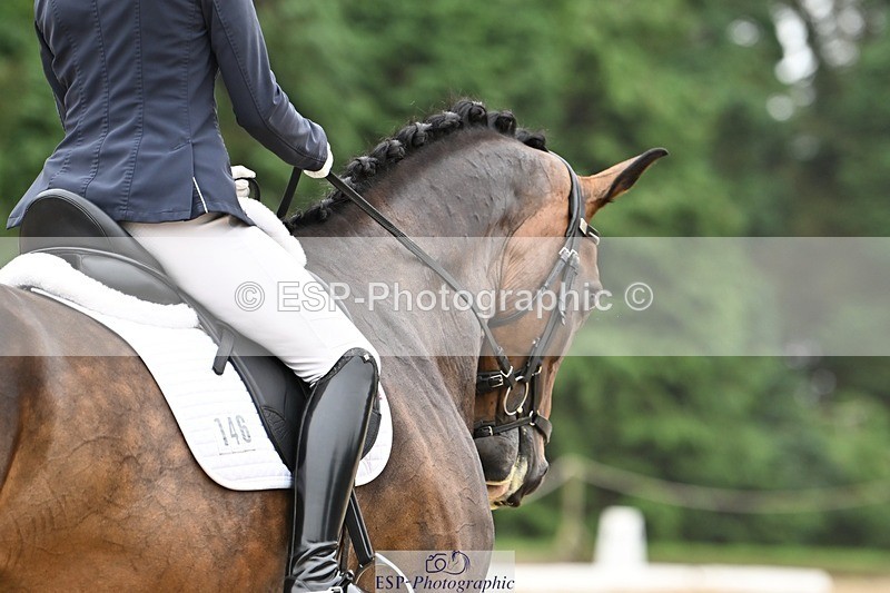 240811-112257-05160 - 146-Anna.Johannson-Kapellmeister