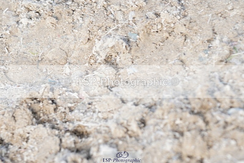 250420A-102140-00331 - Cls 02 70cm