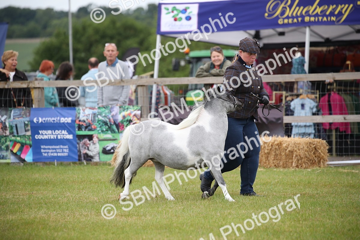 SBM_03895 - Class 23-25 - British Miniature Horse of the Year