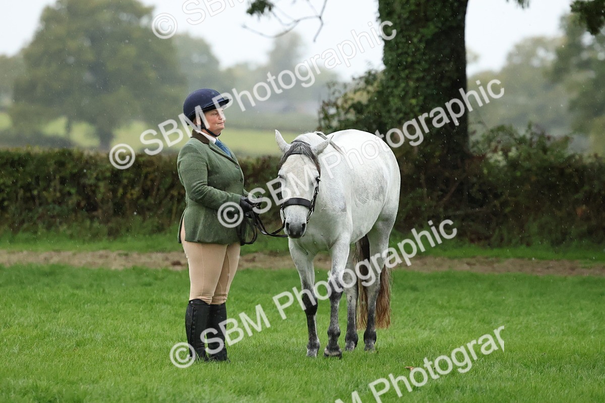 SBM_35322 - S10 - Best In Hand Horse & Pony