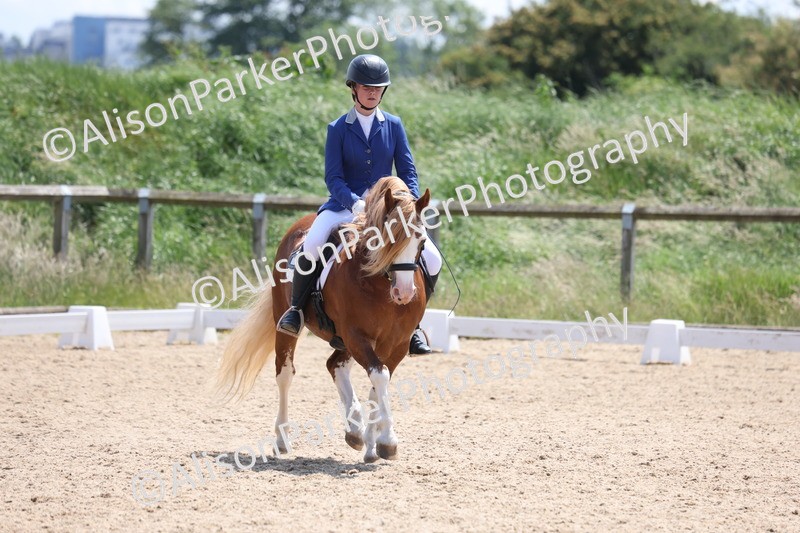 20250614-0761 - Class 4 - Novice 2