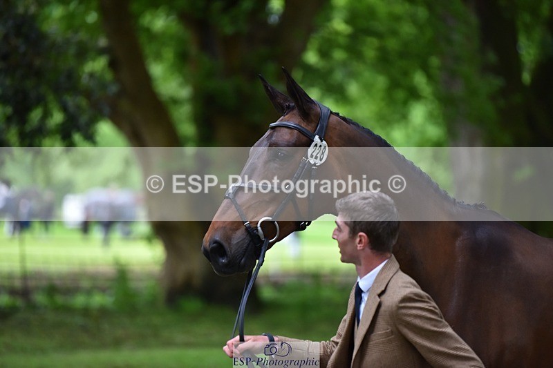 240522-165450-01245 - 228-SAGE_SOLDIER-Tom_Jackson