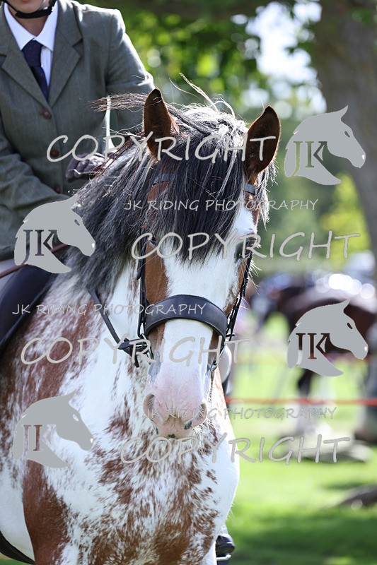 APP_3685 - Class 8 Ridden Class