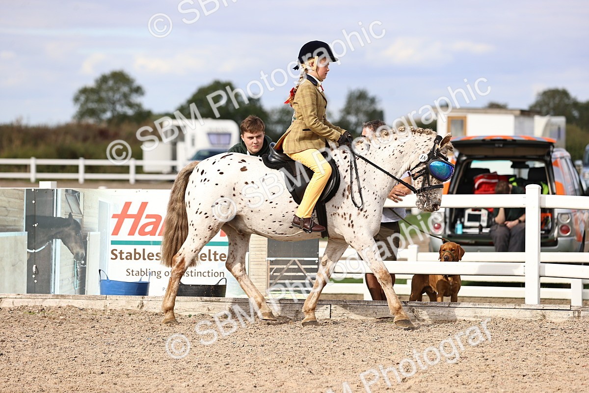 SBM_18003 - Class 422 - Equitation (Best Rider) Jnr